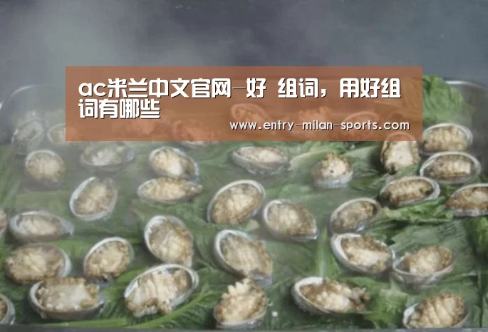 官网入口