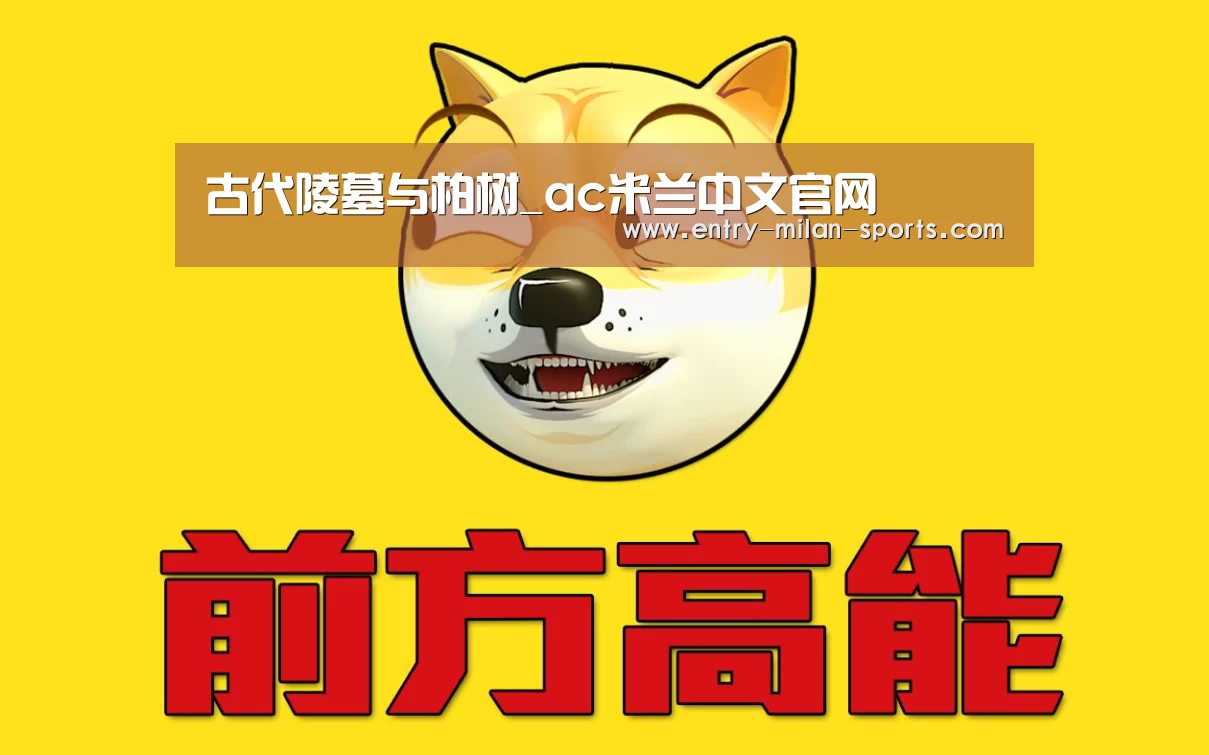 官网入口
