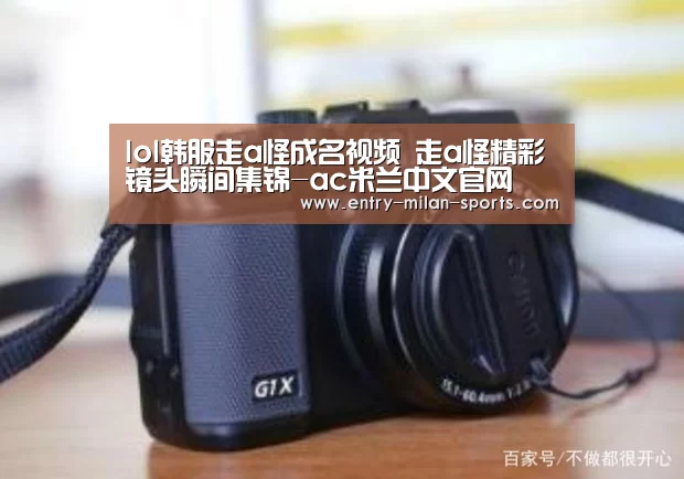 官网入口